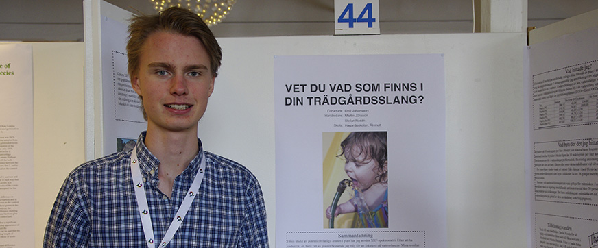 2013-SJP-vinnare