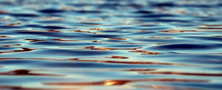 pexels-pixabay-355700